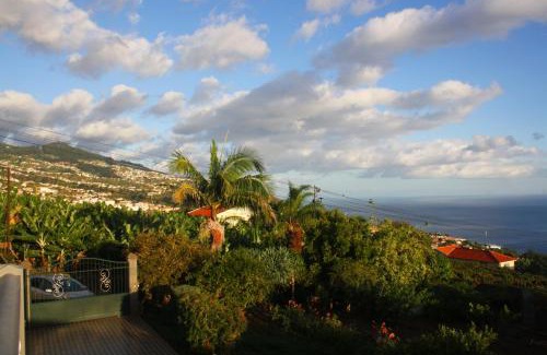 Estreito da Calheta Apartment | Lugar dos Louros 2