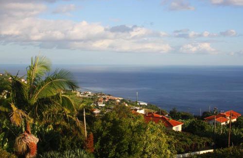 Estreito da Calheta Apartment | Lugar dos Louros 2