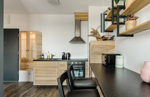 Baluty Apartment | Lumina apartment on Drewnowska