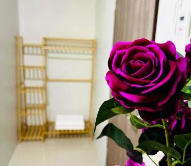 Don Muang Hotel | Luna hotel
