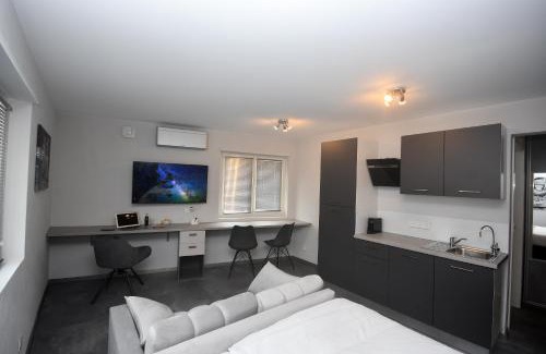 Saint-Louis Apartment | LUNAR, proche frontière Basel, Free parking