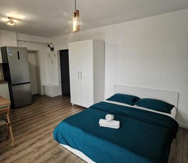 Baia Mare Apartment | Lux Apartmamt Baia Mare 45