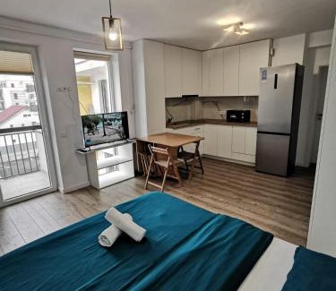 Baia Mare Apartment | Lux Apartmamt Baia Mare 45