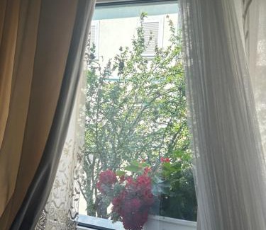 Pancevo Apartment | Lux Beba Pancevo