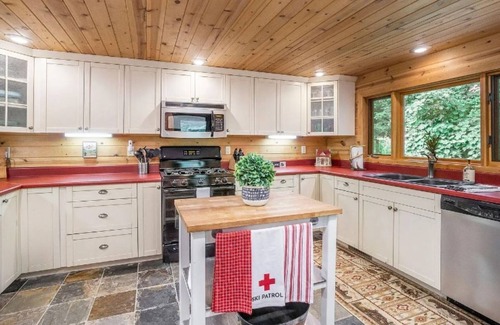 Lawrence Cabin | LUX LODGE Sleeps 20 Game Rm Bach Party Golf nearby Pontoon Rental Kayaks