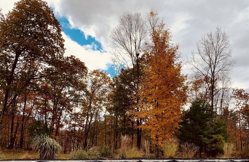 Glenford House | Luxe Bohemian Cabin, Secluded, 6 min to Woodstock