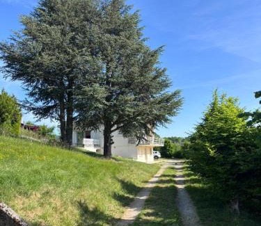 Saint-Nizier-du-Moucherotte Villa | luxurious villa in an enchanting setting