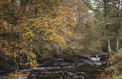 Llanfair Caereinion Cottage | Luxurious and cosy riverside cottage for two