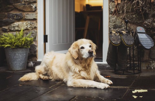 Llanfair Caereinion Cottage | Luxurious and cosy riverside cottage for two