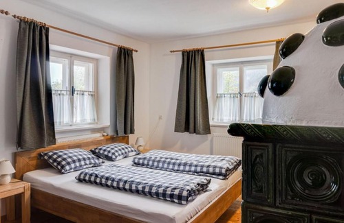 Mittersill Apartment | Luxurious Apartment in Mittersill near Ski Area