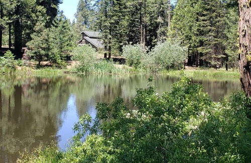 Shaver Lake House | Luxurious Escape-DOUBLE Masters/GOURMET Kitchen