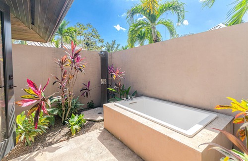 Sanctuary Belize House | Luxurious private home in wildlife sanctuary with private pool, patio & dogs OK