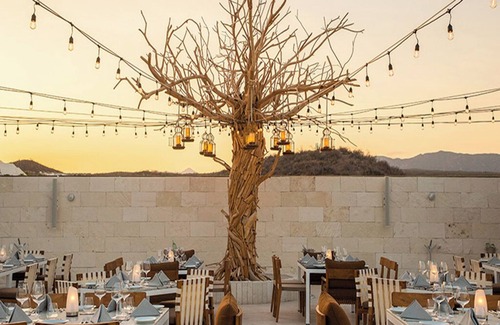 San Jose del Cabo Resort | Luxurious Resort on the beach of the Sea of Cortez (UNESCO WHS) in Los Cabos.