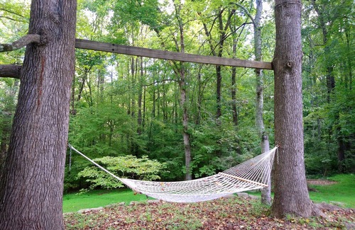 Milton Apartment | Luxurious & Spacious Apartment in Wooded Home
