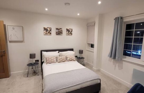 Wainscot House | Luxury 2 Bed Apartment In The Center Of Rochester