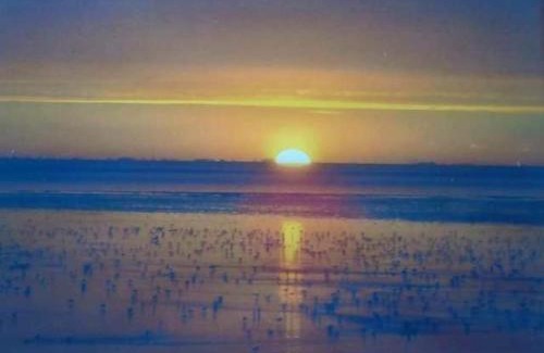 Heacham Ski Chalet | Luxury 2 Bed Caravan Heacham Beach Pets go Free