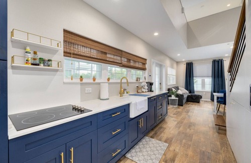 Downtown Dunedin House | Luxury 2 bedroom tiny home with pool "Skye"