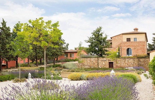 Trequanda Apartment | Luxury 2 Rooms Apt Basil in Siena Resort