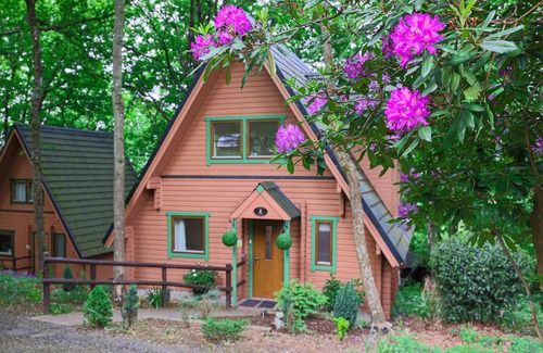 Liverton Cabin | Luxury 3-Bedroom Lodge with Hot Tub in Devon - Your Perfect Getaway