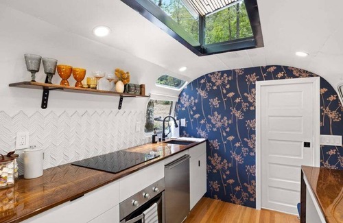Pisgah Forest House | Luxury Airstream w/hot tub, king bed, & grill