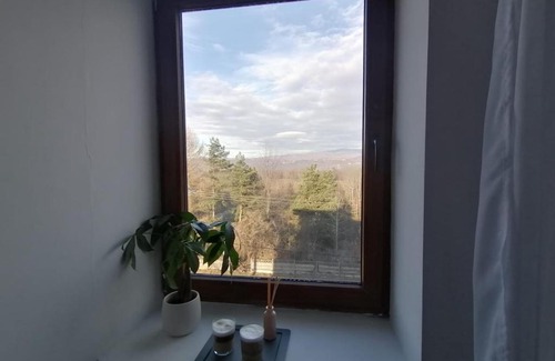 Campulung Apartment | Luxury Apart Câmpulung