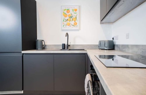 Waterloo Apartment | Luxury Apartment | FREE PARKING | Sleeps 5