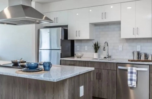 Wynnefield Apartment | Luxury Apartment in City with 10% for a week and 20% for Month/FREE WIFI