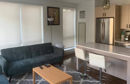 Brookline Apartment | Luxury apartment in a quiet neighborhood in the Heart of Boston