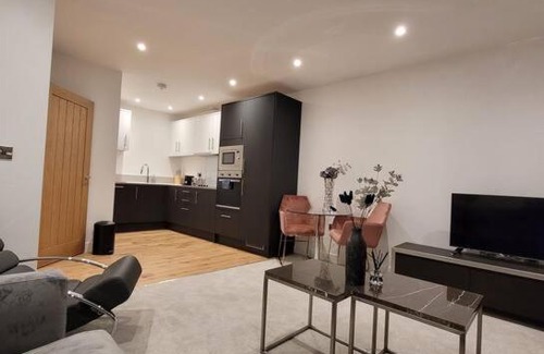 Wainscot House | Luxury Apartment In The Center Of Rochester