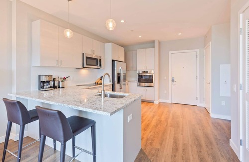 Seaport District Apartment | Luxury Apt In Seaport Walk to Restaurants