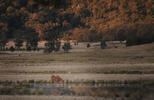 Broke House | Luxury Barn - The Charles at Broke Hunter Valley