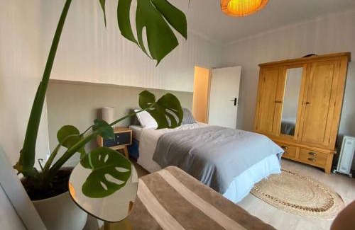 Jeffreys Bay House | Luxury Beach House, Jeffreys Bay