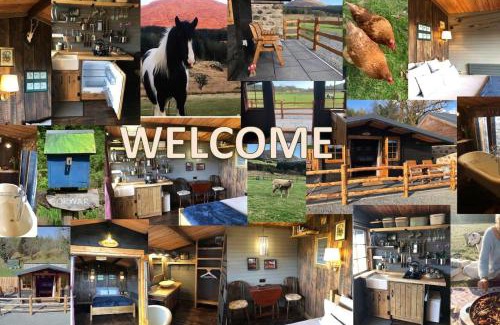 Galloway Forest Park House | Luxury Cabin in the Magical Galloway Forest Park