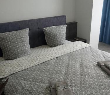 Uzhhorod Apartment | Luxury Central Apartment