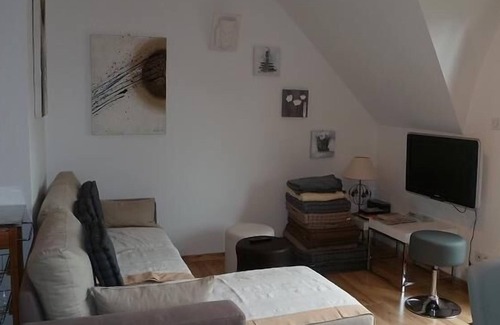 Laveissiere Ski Chalet | Luxury Chalet Lioran ski slopes