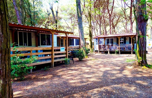 Lido degli Estensi Ski Chalet | Luxury Chalet near the sea! (no: 722)
