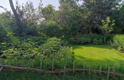 Islamabad Villa | Luxury Corner Cottage Guest House on Main Road G11
