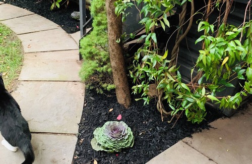 Park Slope Apartment | Luxury Garden bedroomnin Park Slope - A perfect vacation getaway