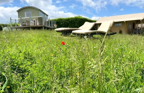 Ham RV Rental | Luxury Glamping Kent Coast; Shepherds Huts & Safari Tents on Site hot tub