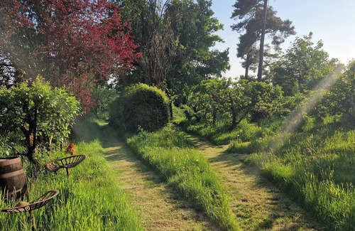 Bromsash Cabin | Luxury Glamping The Wye Valley for 2 to 4 Guests