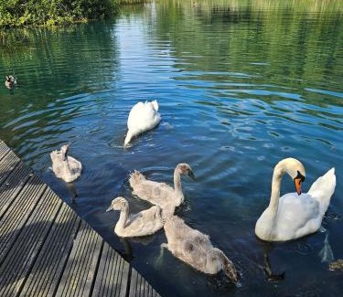 Tattershall House | Luxury Lakeside Caravan with hottub and private fishing peg, Tattershall Lakes
