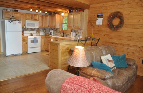 Bostic Cabin | Luxury Log Cabin - Totally Private Gorgeous Mtn View - Pool Table, Darts & more!