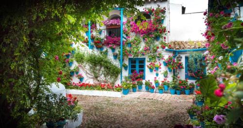 Cercadilla-Medina Azahara Apartment | Luxury new 6 pax apart Downtown.