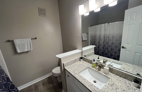 Tampa Apartment | Luxury, New Stylish, Condo Downtown!
