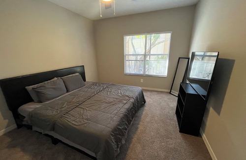 Tampa Apartment | Luxury, New Stylish, Condo Downtown!