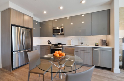 Mountain View Apartment | Luxury One Bedroom with Full-Service Amenities