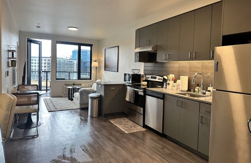 Downtown Vancouver Apartment | Luxury One BR Apt in Downtown Vancouver with River View