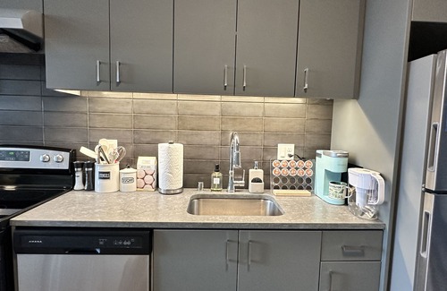 Downtown Vancouver Apartment | Luxury One BR Apt in Downtown Vancouver with River View