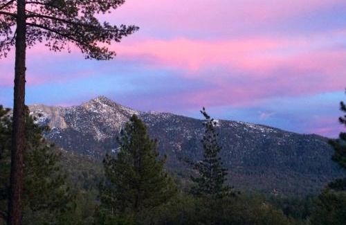 Pine Cove Ski Chalet | Luxury, Private, Panoramic Views Among the Pines