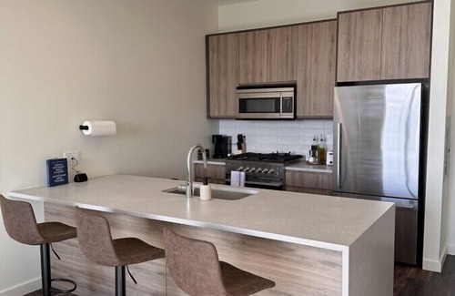 Pulaski Park Apartment | Luxury River West High-Rise N4 Gym+Rooftop+Skyline